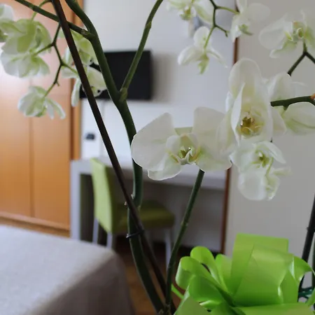 Hotel Residence Holiday Апарт-готель 3*