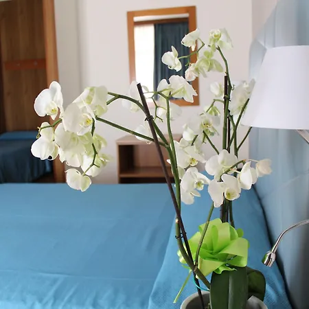 Апарт-готель Hotel Residence Holiday